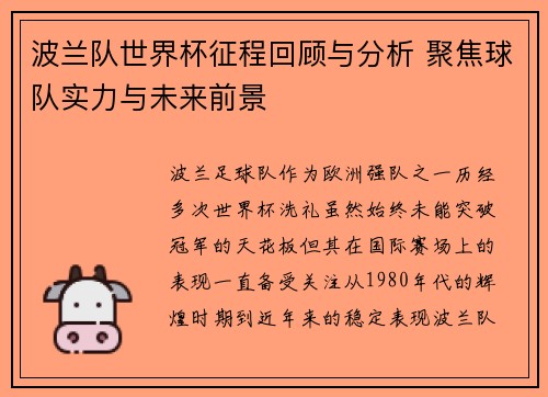 波兰队世界杯征程回顾与分析 聚焦球队实力与未来前景